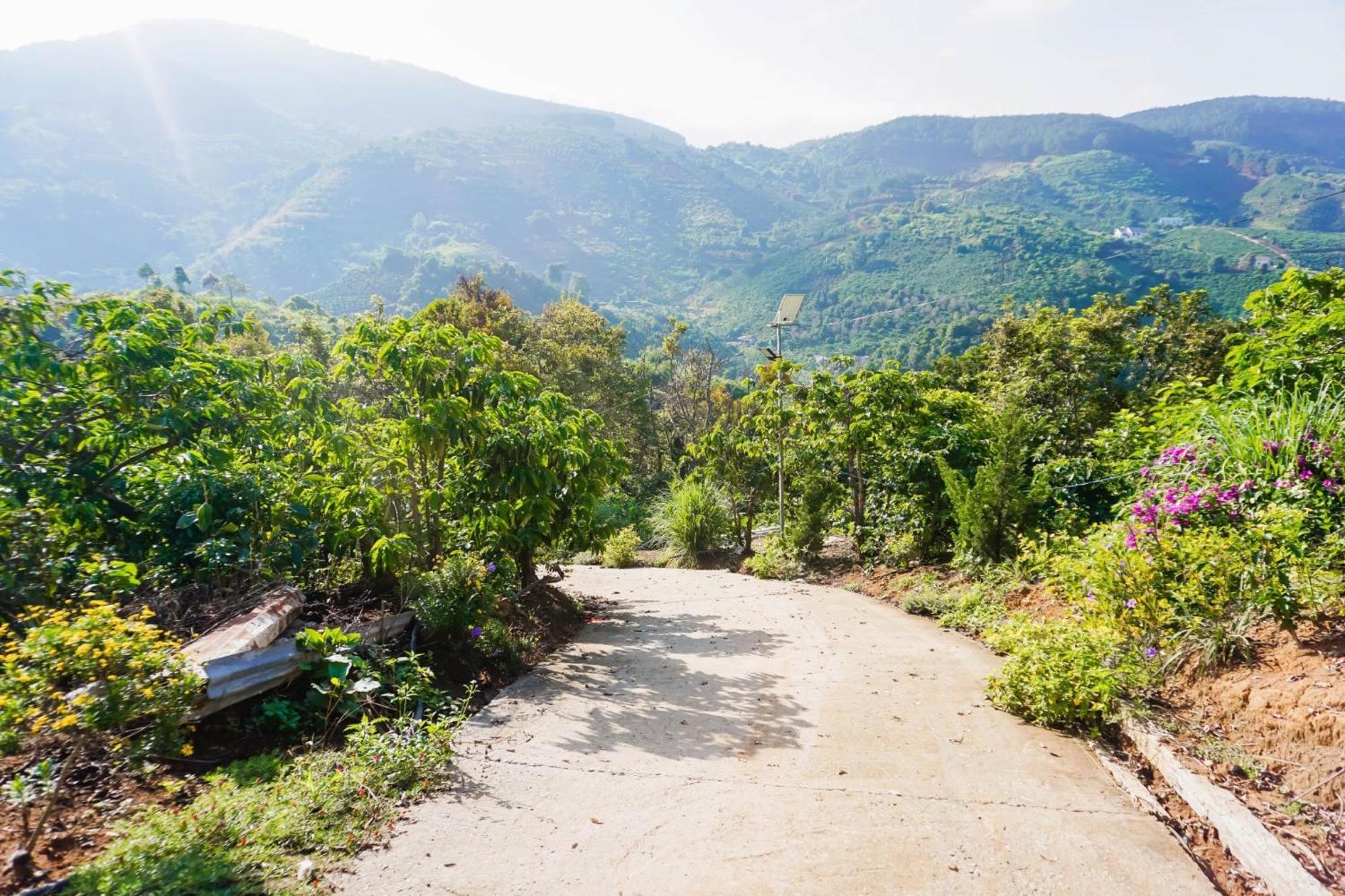 Farm Co Chu Tuan Ha Bed & Breakfast Da Lat Exterior photo